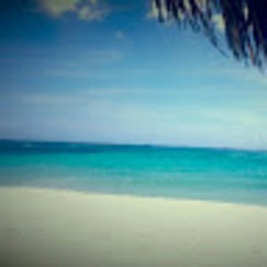 Meet your Posher, Tiramisuzy